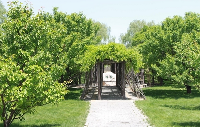 园林绿化工程类论文在职称评审中的要求与指导