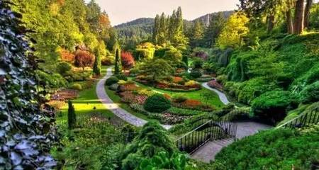 雄安新区绿化建设 科学选种，描绘未来生态画卷