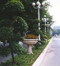 杜鹃映丹霞，韶关精绣园林绿化新画卷