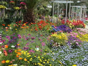 企业简介 专注园林绿化工程，构建绿色美好家园