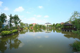 上海奉贤园林绿化工程 打造生态宜居的城市绿洲