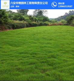 六安市华煜园林工程有限责任公司 专业园林绿化工程服务