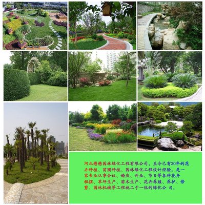 懋懋园林绿化 打造绿色生态，铸就园林工程典范