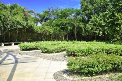 深圳市馨卉园林绿化工程