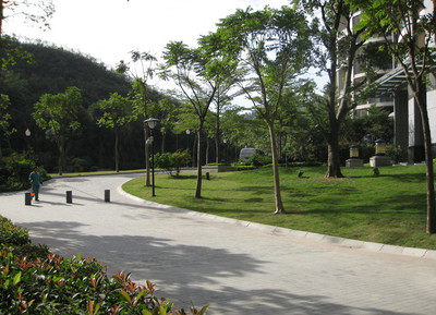 专业承接各类园林绿化工程，打造绿色生态空间